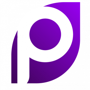 Precise-Support-Logo-icon-png