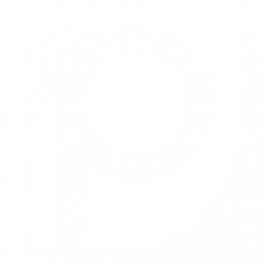 Precise-Support-Logo-icon-png-W
